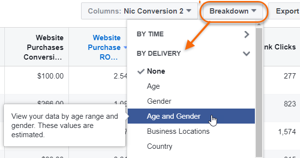 How To Make Your Facebook Ads More Effective 1 Breakdown Facebook ad report by age